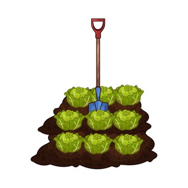 Taze yeşil lahana toplamak için toprağı kazan bir kürek çiftçiliği ve tarımı sembolize ediyor..