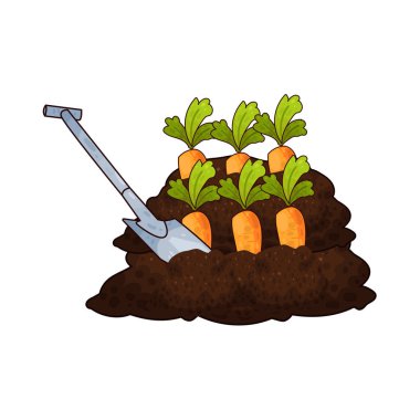 Taze bir turuncu havucu ortaya çıkarmak için kazılan kürek, bahçıvanlığı ve sebze hasadını temsil ediyor..