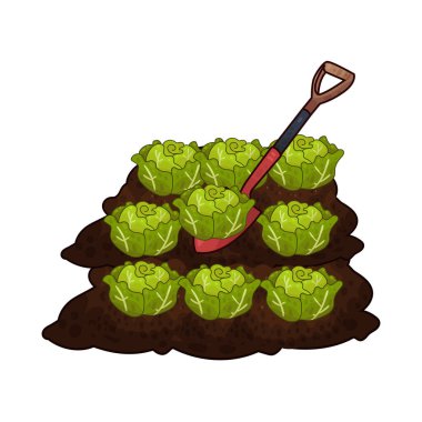 Taze yeşil lahana toplamak için toprağı kazan bir kürek çiftçiliği ve tarımı sembolize ediyor..