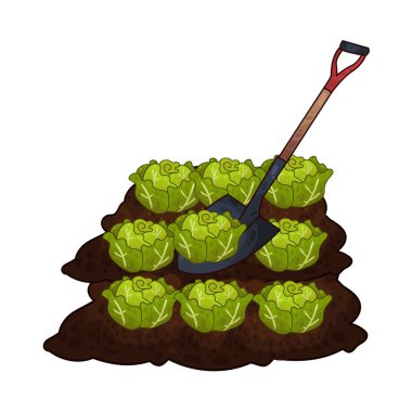 Taze yeşil lahana toplamak için toprağı kazan bir kürek çiftçiliği ve tarımı sembolize ediyor..