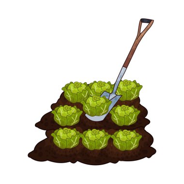 Taze yeşil lahana toplamak için toprağı kazan bir kürek çiftçiliği ve tarımı sembolize ediyor..