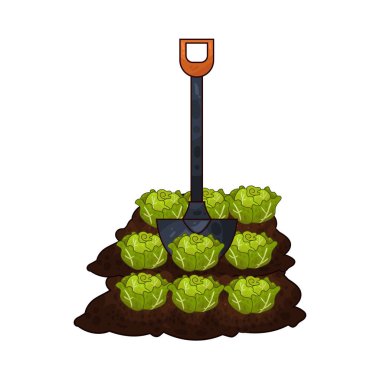 Taze yeşil lahana toplamak için toprağı kazan bir kürek çiftçiliği ve tarımı sembolize ediyor..