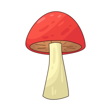 Şapkasında beyaz lekeler olan kırmızı bir mantar..