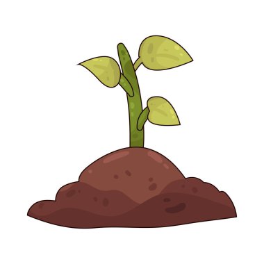 Topraktan çıkan küçük yeşil bir filiz..