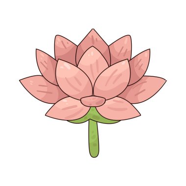 Lotus Çiçeği: Suda yüzen narin bir nilüfer çiçeği.