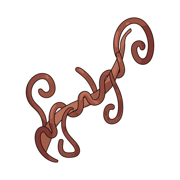 Виноград: Виноградная зеленая виноградная лоза с загнутыми усиками.