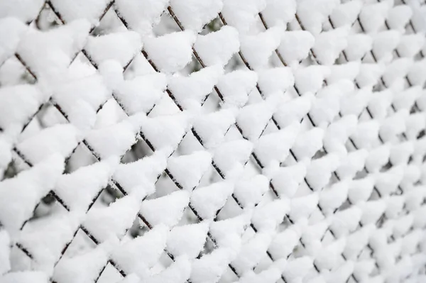 Winter Sneeuw Sneeuw Bedekte Metalen Gaas Verspreid Licht Selectieve Focus — Stockfoto