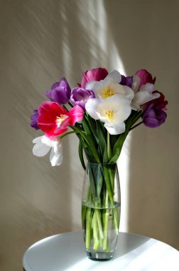 Vazodaki renkli ya da çok renkli laleler. Bir buket harika bahar çiçeği. Arka planda garip gölgeler var. Yuvarlak bir masada içi su dolu şeffaf cam bir vazo..