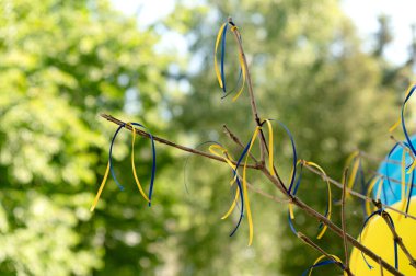 Şölen dekoru. Ukrayna bayrağı. Devlet sembolleri. Mavi ve sarı kurdeleler