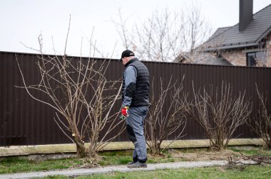 Kendini işine adamış bir bahçıvan huzurlu bir yerleşim bölgesinde hareketsiz çalıları inceler ve toprak çıplak ve serin kalmaya devam ederken bahar çiçeklerinin açmasına hazırlanır..