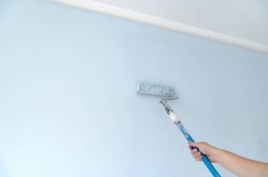 Bir kişi parlak, havadar bir odadaki duvara açık mavi boya sürmek için boya silindiri kullanıyor. Mekanı geliştirmek için tadilat yapılıyor..
