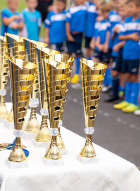 Genç sporcular başarılarını kutlamak için bir futbol turnuvasından sonra toplanıyorlar. Parlak altın kupalarla dolu bir masa güneşin altında parıldıyor, sıkı çalışmalarını ve kendilerini spora adamalarını simgeliyor..