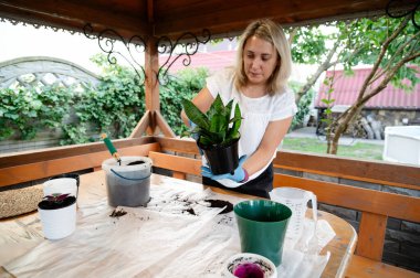 Bir kadın genç bir bitkiyi dikkatlice siyah bir çömleğe aktarıyor. Güneşli bir günde, toprak, alet edevat ve ek tencereler de dahil olmak üzere bahçe malzemeleri ile çevrilidir..