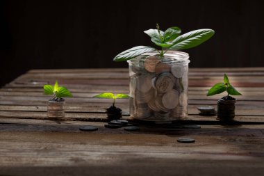 Solmuş bitki ve sikke sembolleriyle donuk ekonomi kavramı. Zayıf büyüme. Bozuk paralar ve eski ahşap yüzeydeki küçük bitkiler, zayıf büyüme ve finansal çöküşü simgeliyor..