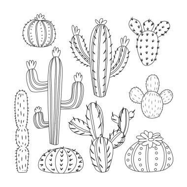 Kaktüs bitkisi taslak karalama seti koleksiyonu, aloe ve yapraklar. Egzotik bitki koleksiyonu. Dekoratif doğal elementler beyazın üzerinde izole edilir. Çiçek resimli kaktüs.