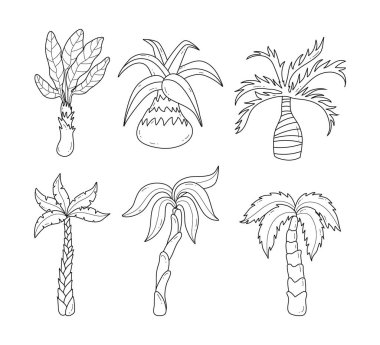 Palmiye Ağacı Taslak Koleksiyonu, Çam Ağacı Çizgisi Sanat Ormanı, yeşil yapraklı palmiye ağaçları, güzel hindistan cevizi plaj palmiyeleri izole edilmiş vektör seti, tropik ağaç yazı, izole edilmiş vektör çizimi