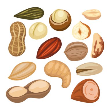 Fındık, tohum ve fasulye seti koleksiyonu, Badem, Brezilya, Kaju, Cedar, Çam, Fındık, Macadamia, Fıstık, Fıstık, Fıstık Cevizi, vektör çizimi