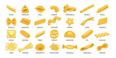 Farklı türde makarna türleri set koleksiyonu, menü veya paket tasarımı için dekoratif elementler, Penne, fusilli, farfalle, tagliatelle, fettuccine, spagetti, cavatappi, conchiglie kabukları ve buğday