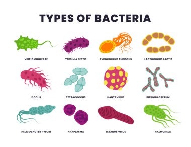 Farklı türde bakteri seti koleksiyonu, bakteri ve virüs mikrop ikonları, renk mikropları, biyoloji mikroorganizma tipleri. Hastalık ya da hastalık mikroskobik hücreler ve enfeksiyon, patojenik bakteriler.