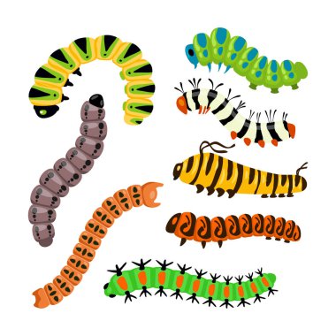 Tırtıllar Larva Böcek Emekleme ve Ürpertici Vektör Seti, Solucan larva larvaları sevimli tırtıl, kırlangıç tırtılları beyaz arka planda izole edilmiş..