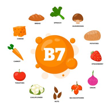 B7 vitamini kaynaklı ürün posterleri, diyet organik beslenme. Organik beslenme, gıda ıspanağı, patates, mantar, çilek, soğan, karabatak, fındık, karnabahar, havuç, peynir..