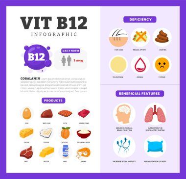 Fayda, eksiklik ve kaynak diyet organik beslenme ürünleri, organik beslenme, yumurta, sığır ciğeri, peynir, süt, kayısı içeren yiyecek içeren vitamin B12 vitamini poster tasarımı