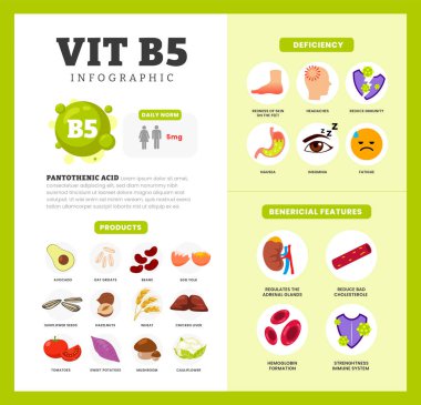 Fayda, eksiklik ve kaynak diyet organik beslenme ürünleri, organik beslenme, avokado, huzelnut, buğday, yumurta sarısı içeren yiyecek içeren vitamin B5 vitamini poster tasarımı..