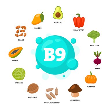 B9 vitamini kaynaklı posterler, diyet organik beslenme, organik beslenme, avokado, dolma biber, brokoli, pancar, balkabağı, mantar, lahana, fındık, papaya, mango, fındık içeren yiyecekler..