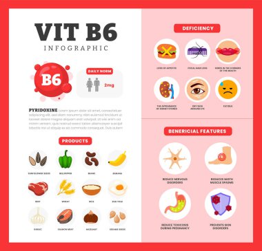 Fayda, eksiklik ve kaynak diyet organik beslenme ürünleri, organik beslenme, sarımsak, fasulye, muz, somon, fındık içeren gıda içeren vitamin B6 vitamini bilgi poster tasarımı.