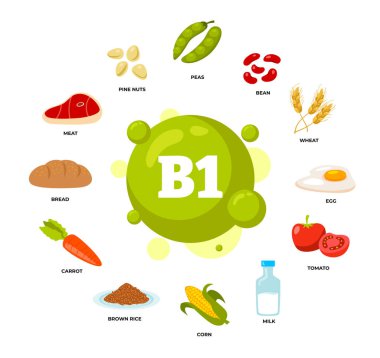 B1 vitamini kaynak ürünleri poster tasarımı diyet organik beslenme, organik beslenme, bezelye, fasulye, buğday, yumurta, domates, süt, mısır, esmer pirinç, havuç, ekmek, çam fıstığı