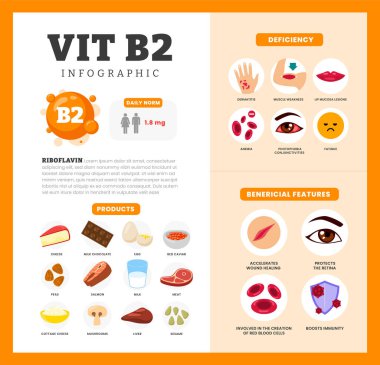 Fayda, eksiklik ve kaynak diyet organik beslenme ürünleri, organik beslenme, süzme peynir, havyar, et, mantar içeren yiyecek içeren B2 vitamini bilgi poster tasarımı seti.