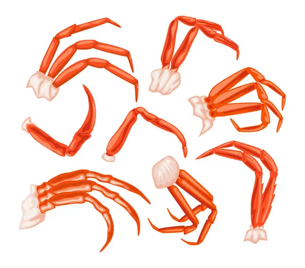 Kaynamış kral yengeç bacağı koleksiyonu, beyaz arka planda izole edilmiş deniz ürünleri yengeci eti, restoran menüsü, balık pazarı, taze kabuklu ürünler, vektör illüstrasyonu.