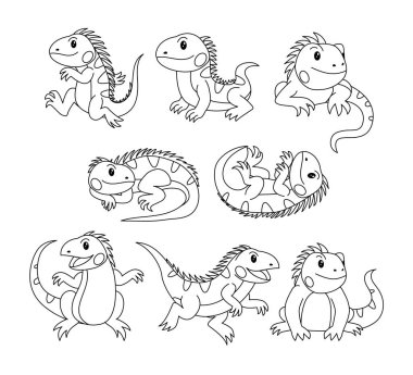 İguana karalama koleksiyonu, iguana anaokulu için ana hatları boyama sayfası ya da kitap hayvanları, hayvan koleksiyonları, el çizimi, farklı pozlarda asgari iguana çizgi karalaması..