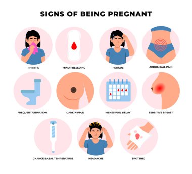 Hamilelik belirtileri ve semptomlar. Tıbbi poster eğitimi. Sabah bulantısı, ruh hali değişikliği, mide bulantısı. Hamile kadın sağlığı, hastalık ve kabızlık, iştah değişikliği ve kusma..