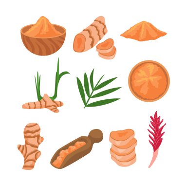 Root ve Powder Pile in Bowl, Cartoon tecrit edilmiş Curcuma longa koleksiyonu, çiçekli taze doğal bitki, yeşil yapraklar ve kökler, yumru dilimleri.