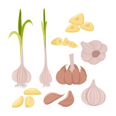Dilimlenmiş sarımsak ve kabuk soyulmuş karanfil, sarımsak, dilim, karanfil, ampul, filizler, beyaz arka planda izole edilmiş, düz vektör illüstrasyonlu sarımsak toplama seti..