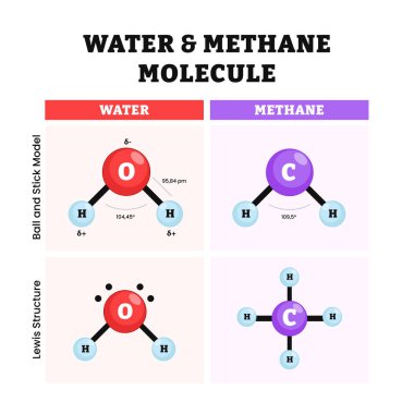Su ve metan molekülü vektör çizimi. Etiketli termal özellikler, Lewis yapısı, top ve sopa modeli. Kimyasal formül ve fiziksel eğitici illüstrasyon.