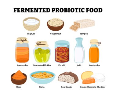 Mayalanmış ya da probiyotik gıda seti koleksiyonu, eğitim tıbbi tasarım sağlık hizmetleri etiketli yoğurt, lahana turşusu, tempeh, kombucha, turşu, kimçi, kefir, meso, natto, sourdough, peynir..
