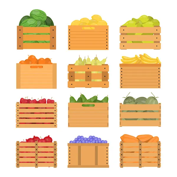 Tahta kutuda taze meyve seti koleksiyonu, sağlıklı organik gıda: Elmalar, Avokadolar, muzlar, yabanmersinleri, hindistan cevizi, limonlar, mangolar, portakallar, papayalar, armutlar, nar, karpuz