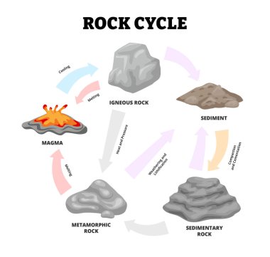 Magma, volkanik kaya, tortu, metamorfik kaya, tortul kaya, jeolojik litleşme, basınç, ısı ve hava durumu örnekleriyle kaya döngüsü dönüşümü ve taş oluşum süreci
