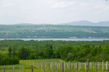 Orta mesafede göl veya nehir olan yemyeşil vadinin panoramik manzarası. Yeşil orman bitkileriyle kaplı yuvarlanan tepeler ve önlerinde tarımsal tarlalar. Barışçıl kırsal manzaranın üzerindeki bulutlu gökyüzü doğal kırsal manzarayı gösteriyor.