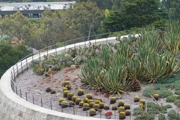 Canyon Rim 'in yanındaki Eğri Sulu Sınır