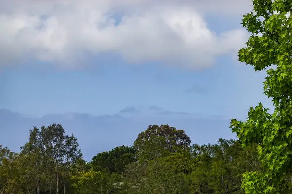 Bulutlar Mulholland Yeşil Kuşağı üzerinde sürükleniyor