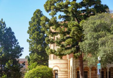 Kerckhoff Hall Avlusu Çerçeveli Pines