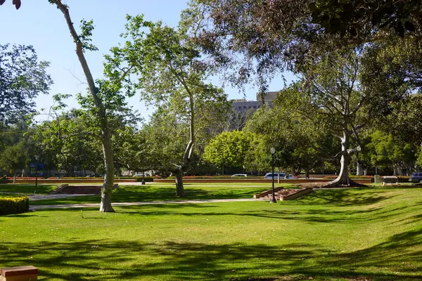 Sabah Roxbury Park Yeşilleri 'nde geziniyor