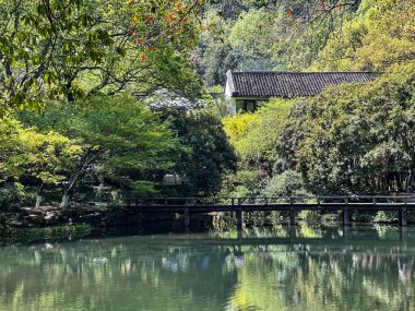 Tea Estate Gölet Yansıyan Verdant Tepeleri