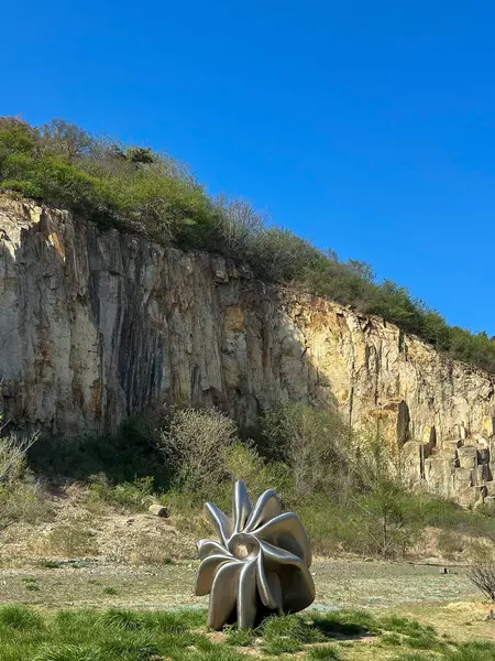 Tibet Keçi Keşif Bazalt Kayalık Uçurumu