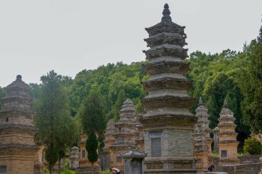 Shaolin Tapınağı Pagoda Ormanı Panoramik Manzarası