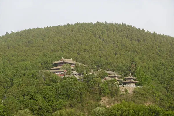 Verdant Hills, Longmen Grottoes Bölgesine Bakar