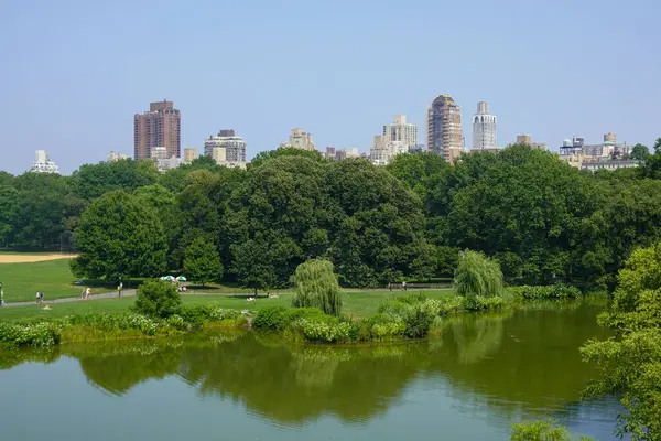 Central Park Gölü Uzak Kuleleri Yansıtıyor